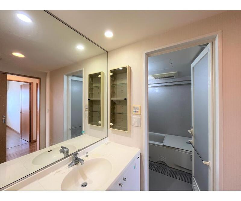 ハイムプラザ北浦和の洗面所