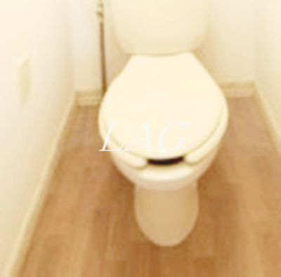 【トイレ】 | ブルードエルＭ | トイレです。