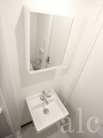 urban terrace 池袋 (アーバンテラス池袋)の独立洗面台