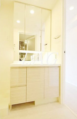 【洗面所】 | サットンアリビオ八王子 | 独立洗面台です。