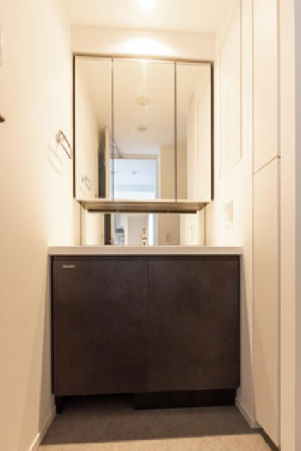 バウスフラッツ日本橋浜町の洗面所