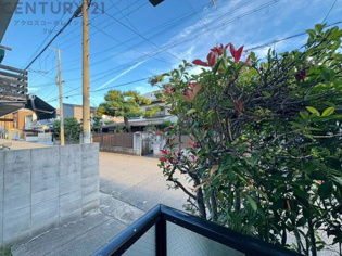 当日見学可能ですので、見学希望の際はお気軽にお問い合わせください。ネットからの見学予約も便利です♪