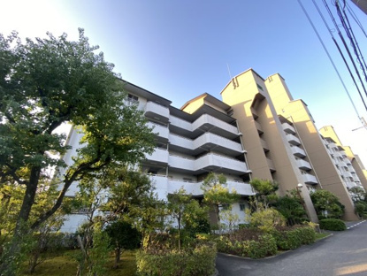 【間取り】芦屋緑２住宅５号棟 