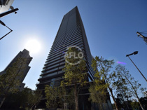 ザ・パークハウス中之島タワー（タワーマンション）の画像