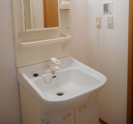 ハーベスト下上の洗面所