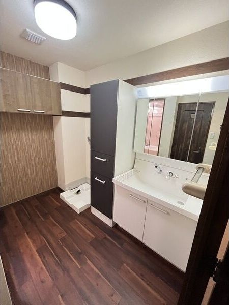 ビレッジアール大淀南の洗面所