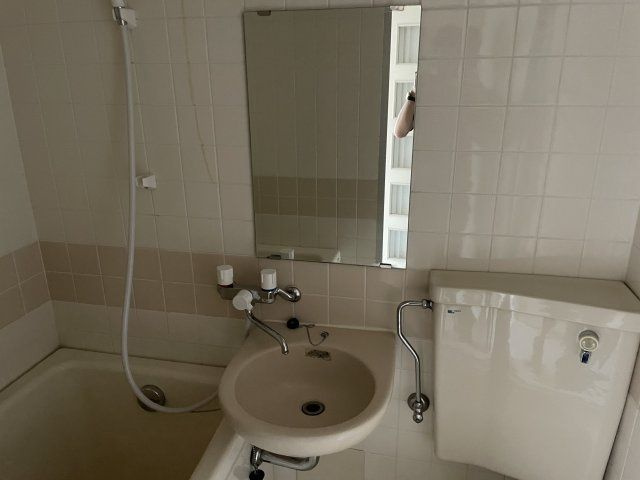 ＮＩＣアーバンスピリッツ本所吾妻橋の洗面所