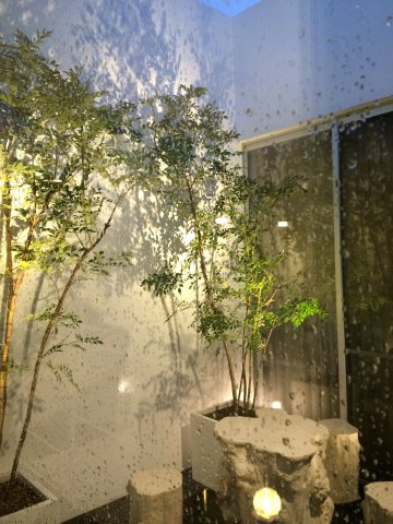 福栄4丁目戸建ての庭