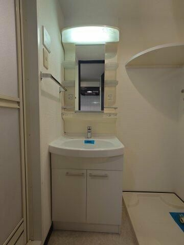 ル・リオン東京アクアサイドの洗面所