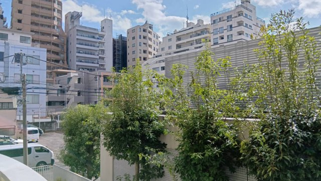 大久保杉ハイムの展望