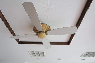 【その他】 | カーサケイワイ№1 | シーリングファン（残地物）