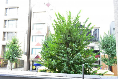 【展望】 | ジィクシア湘北