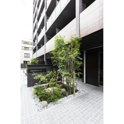 【エントランス】 | コンフォリア・リヴ根岸二丁目 |  