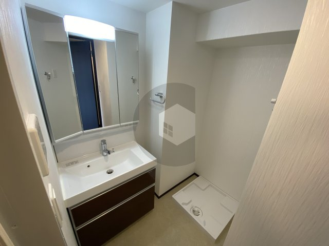 プレジオ八戸ノ里の洗面所