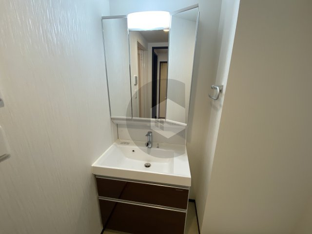 プレジオ八戸ノ里の独立洗面台