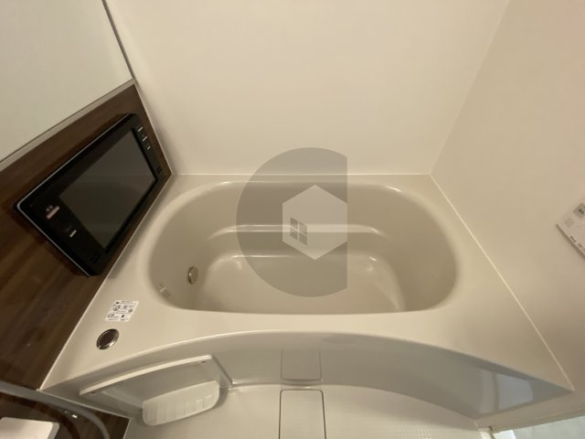 プレジオ八戸ノ里の浴室