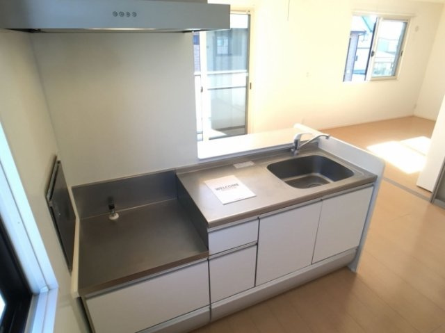 エスペランサ　Bのキッチン|イメージ(反転タイプ)