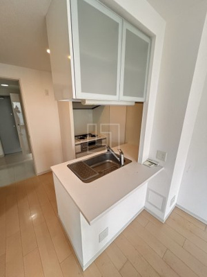 【キッチン】 | エステムエグゼ心斎橋 | エステムエグゼ心斎橋　カウンターキッチン