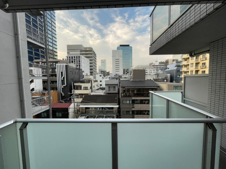 コンシェリア芝公園MASTER‘S VILLAの展望