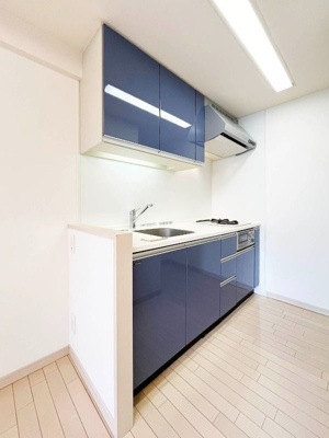 【キッチン】 | エコロジー柳橋レジデンス