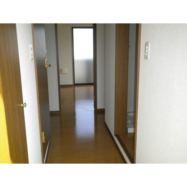 アンプルールリーブルリベルテのその他