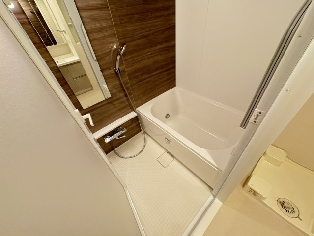 リーフシティ市川ザ・レジデンスの浴室