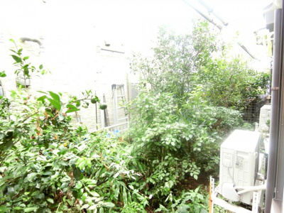 【展望】 | カロハイム