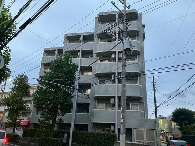 オリーブフォレスト