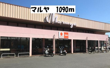 TSUTAYA杉戸店まで492m
