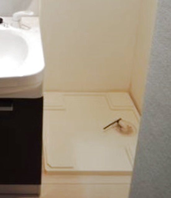 Ｃｌａｓｓｙ　Ｒｅｓｉｄｅｎｃｅの設備