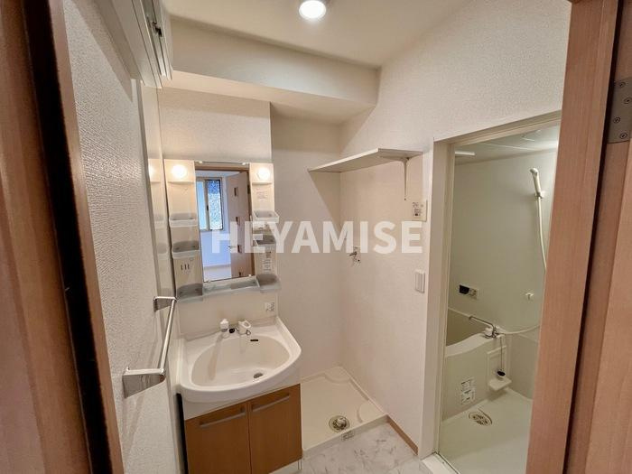 スカイコート大村B棟の洗面所