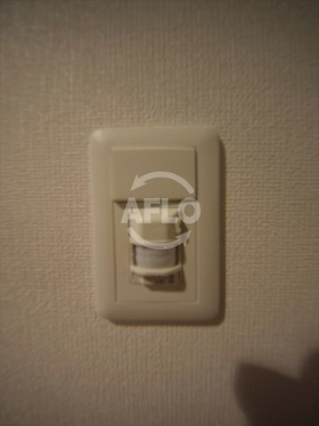 Luxe難波西Ⅰの設備|Luxe難波西I（ラグゼ難波西I）　人感センサーライト