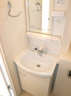 ブライズ西巣鴨の洗面所