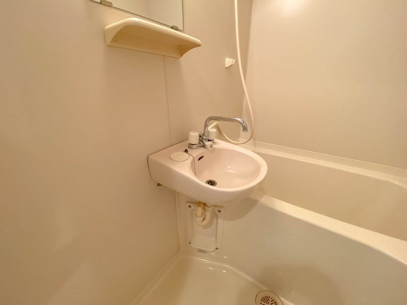 アルシュ住吉の洗面所