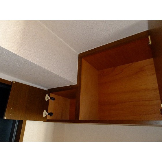 Ｂｅｌｌｅ　Ｖｕｅ新中野の玄関|玄関上部収納