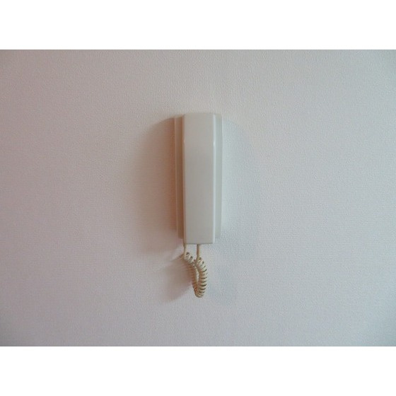 アイ・エステート阿佐ヶ谷のその他|インターホン