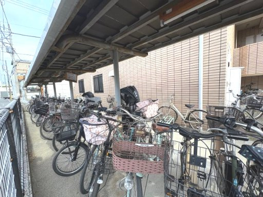 エレガンスチトセ