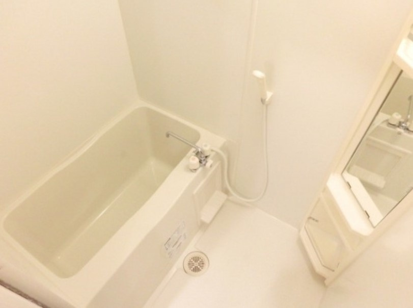 ウェルヴィラ天沼の浴室