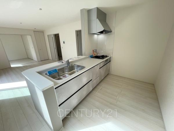 渋川行幸田第2 1号棟のキッチン|シンクも大きく洗い物もしやすい浄水器付。シャワーヘッドは引き出し可能、シンクの隅々まで洗い流せます。