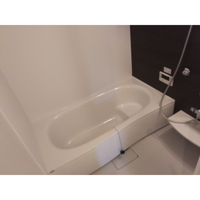 Ｓａｌｔ　Ｖａｌｌｅｙ　ＣｏｕｒｔⅡの浴室