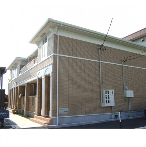 アネモネの外観