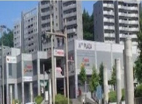 フォレストサイド５番館の周辺|フレスタまで1000m