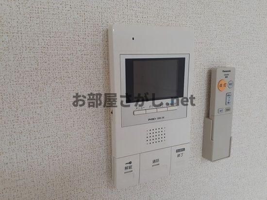 プレアデスのセキュリティ