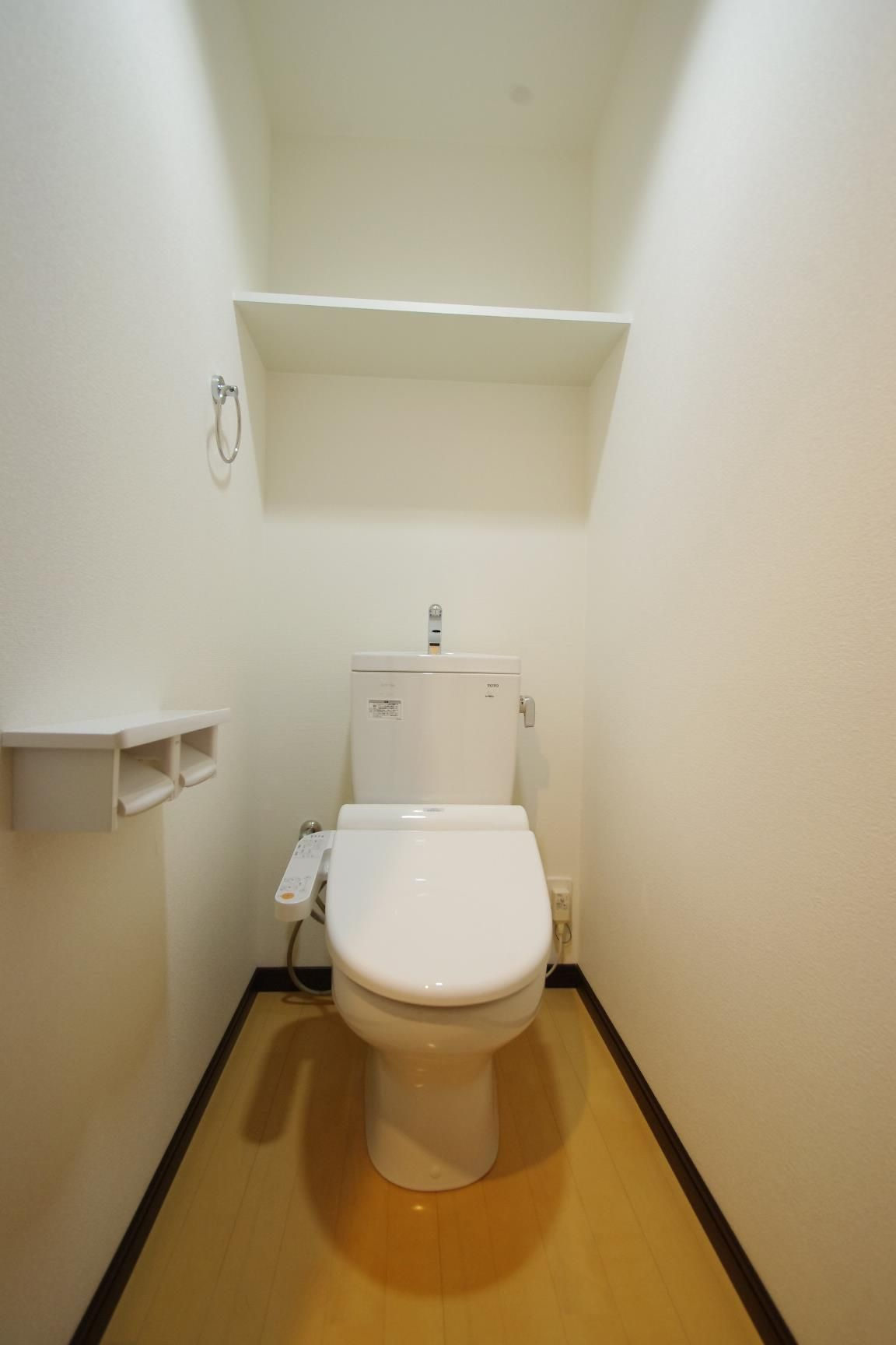 熊本市南区幸田１丁目の賃貸マンションのトイレ