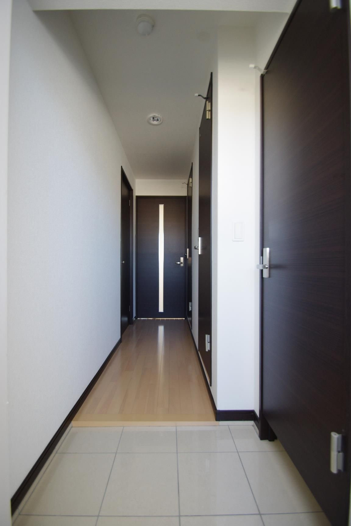 熊本市南区幸田１丁目の賃貸マンションの玄関