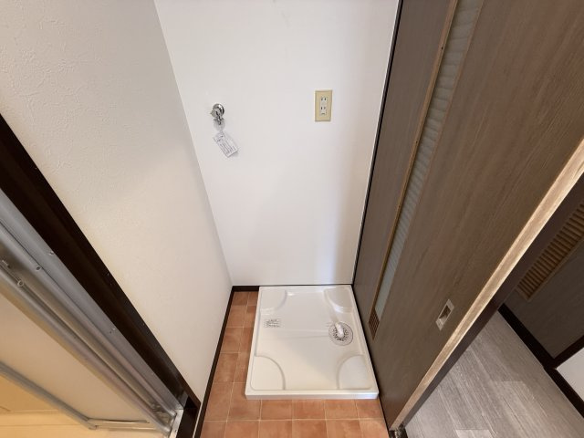 ドルフナガサワのその他