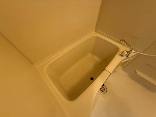 ドルフナガサワの浴室