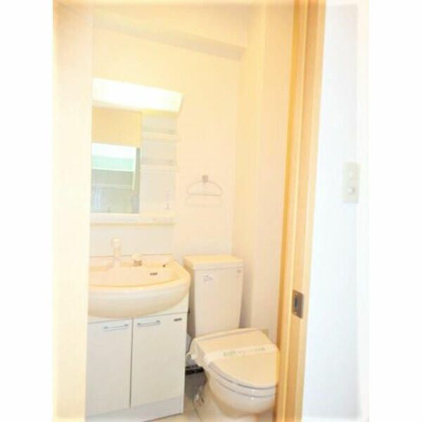 ディスポワールの洗面所