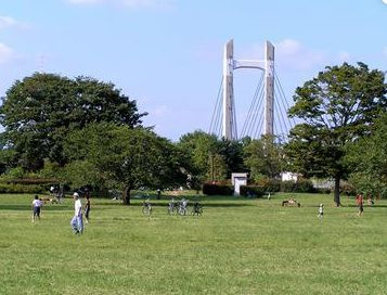 プレール・ドゥーク清澄白河の周辺