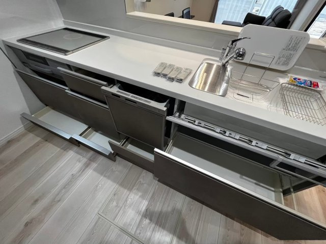 大津町引水／５号棟／貸戸建／Ｅｎｇｌｉｓｈ，ＣｈｉｎｅｓｅＯＫのキッチン